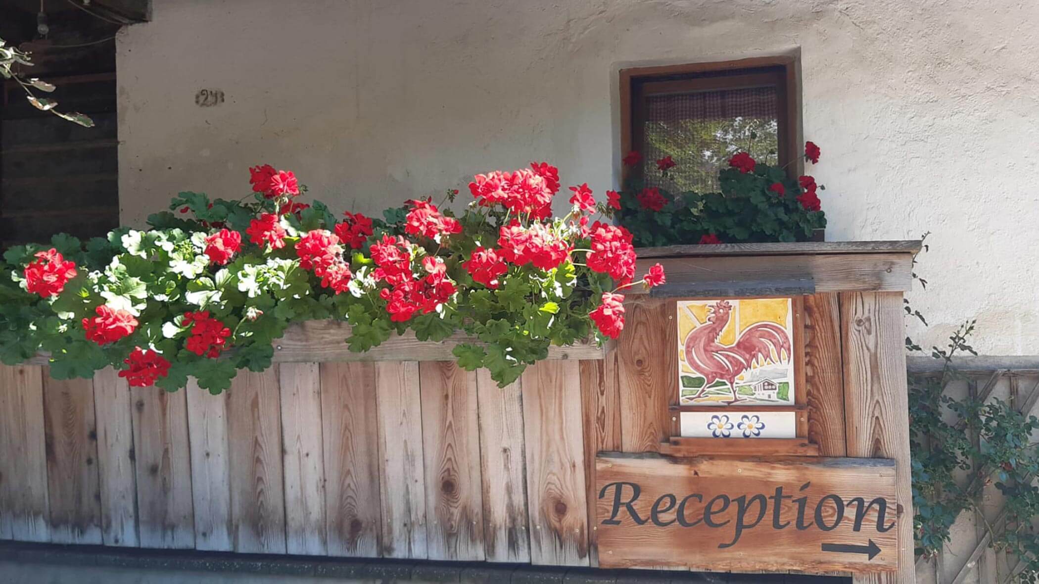 Detailaufnahme Balkon mit Blumen - Lüch da Morgnun